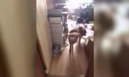 污污污视频下载